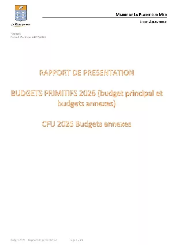 Image du document Rapport BP 2026 Version 05.02.26